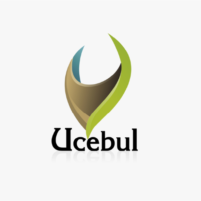 ucebul-100